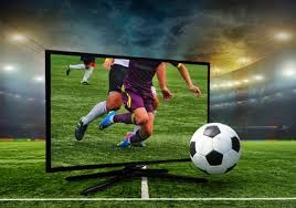 成都蓉城祝贺铜梁龙冲超：期待我们明年中超赛场见