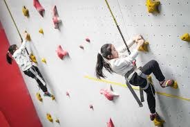 industry-data-analysis